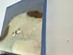 もう少し寝かせて
