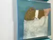 ちょっと待って