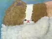 ちょっと待って