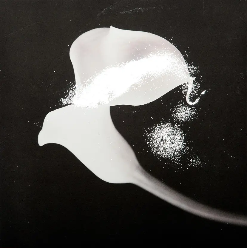 Flash/Calla(front) BK by Kurimune Misato