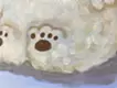 お利口に座る犬