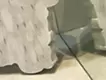 真っ白な猫