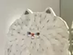 真っ白な猫