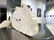 真っ白な猫 (2)
