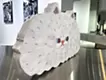 真っ白な猫 (2)