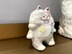 ペンキを浴びた猫