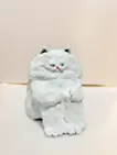 足を抱える猫