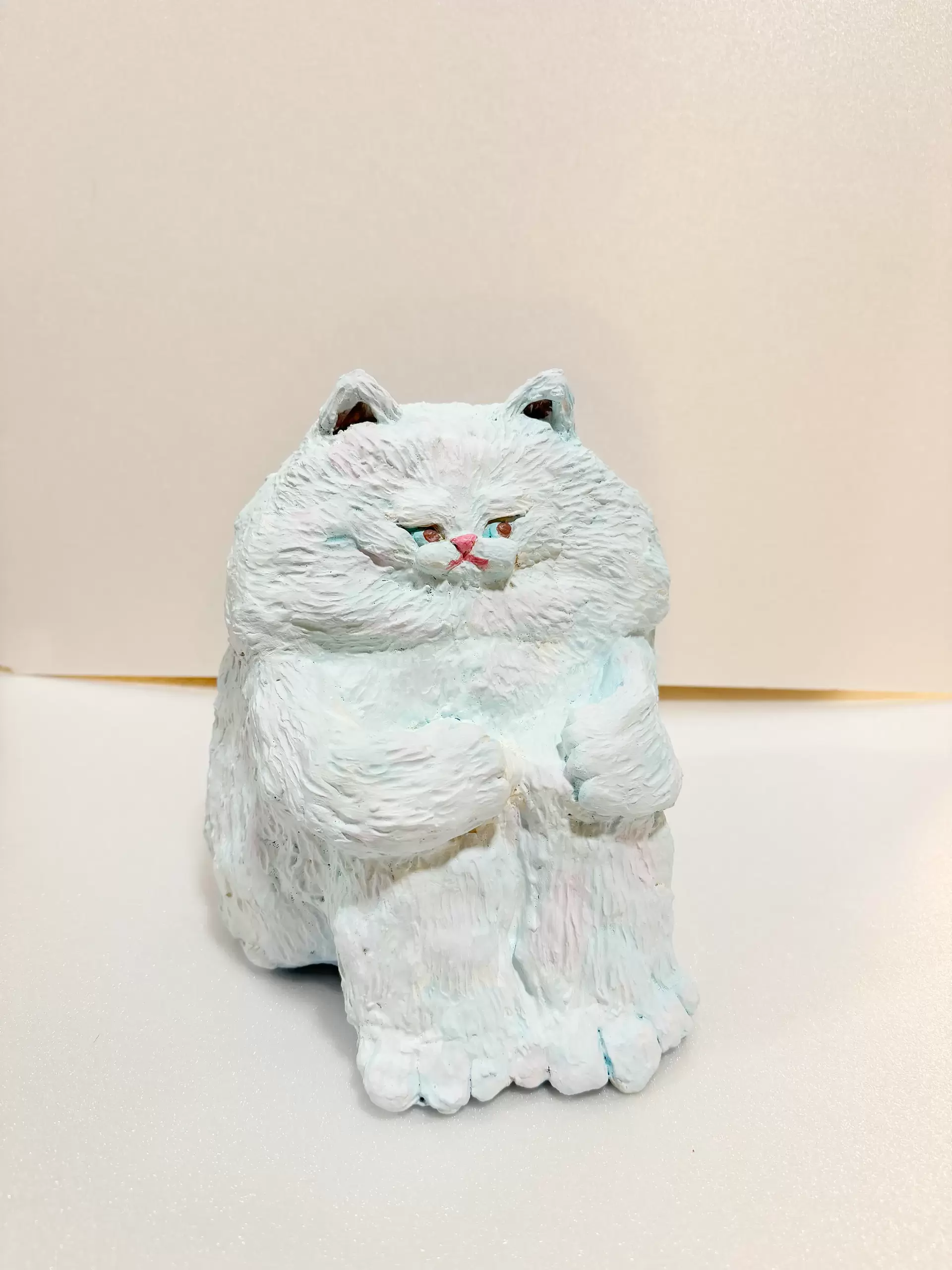 足を抱える猫