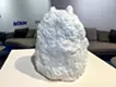 足を抱える猫
