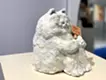 足を抱える猫