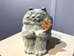 足を抱える猫