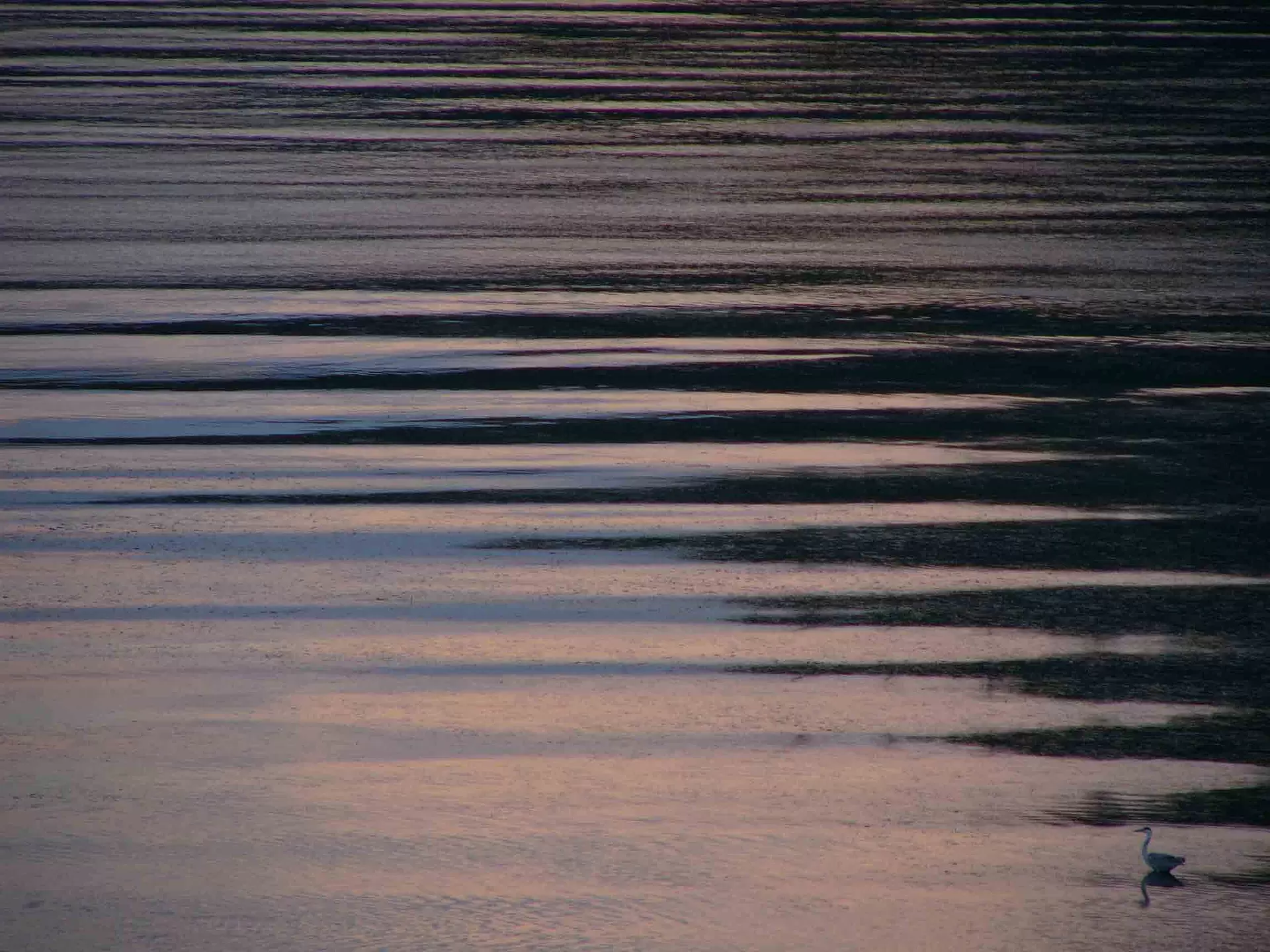 Surfaces_01