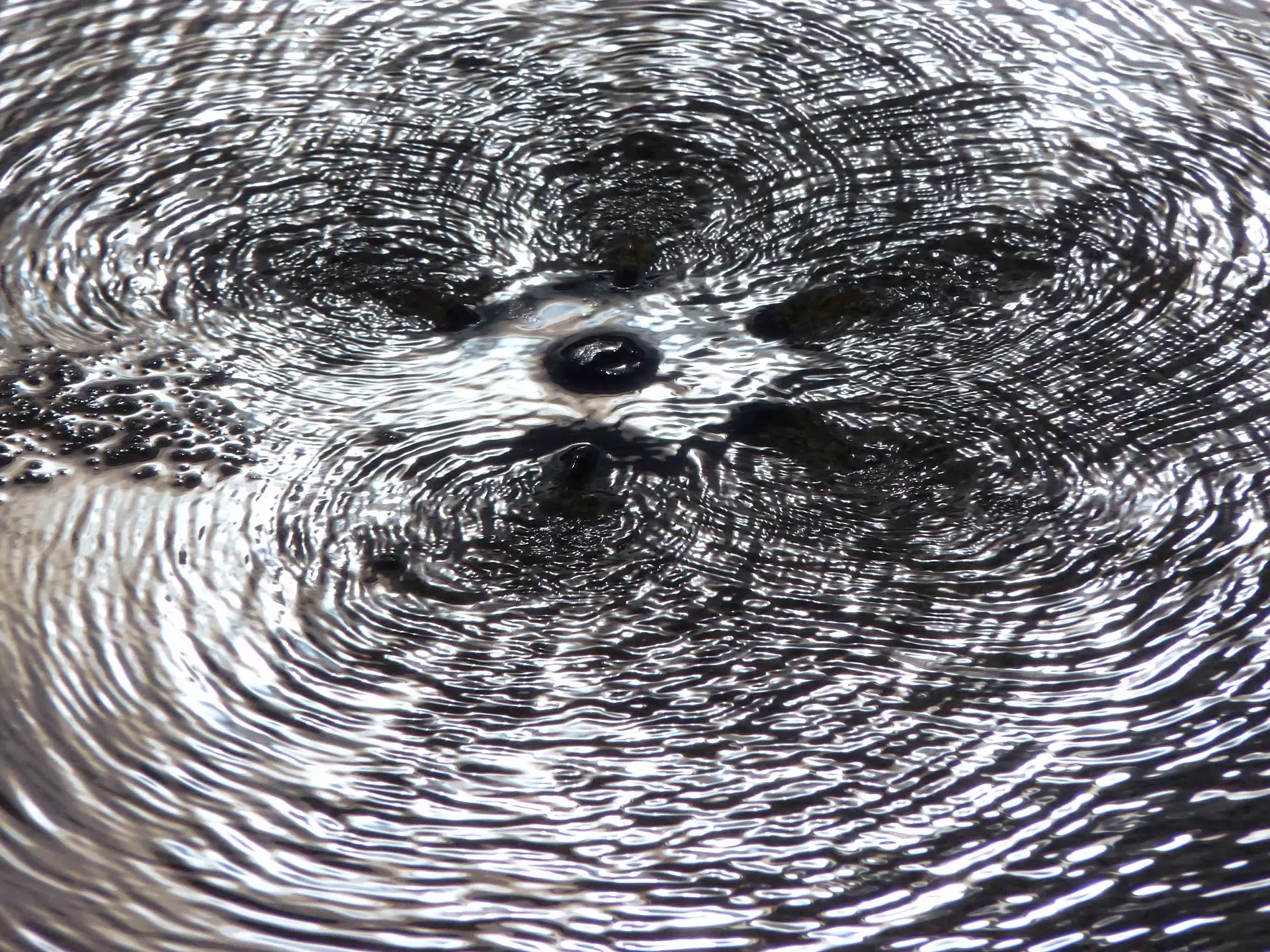 Surfaces_08