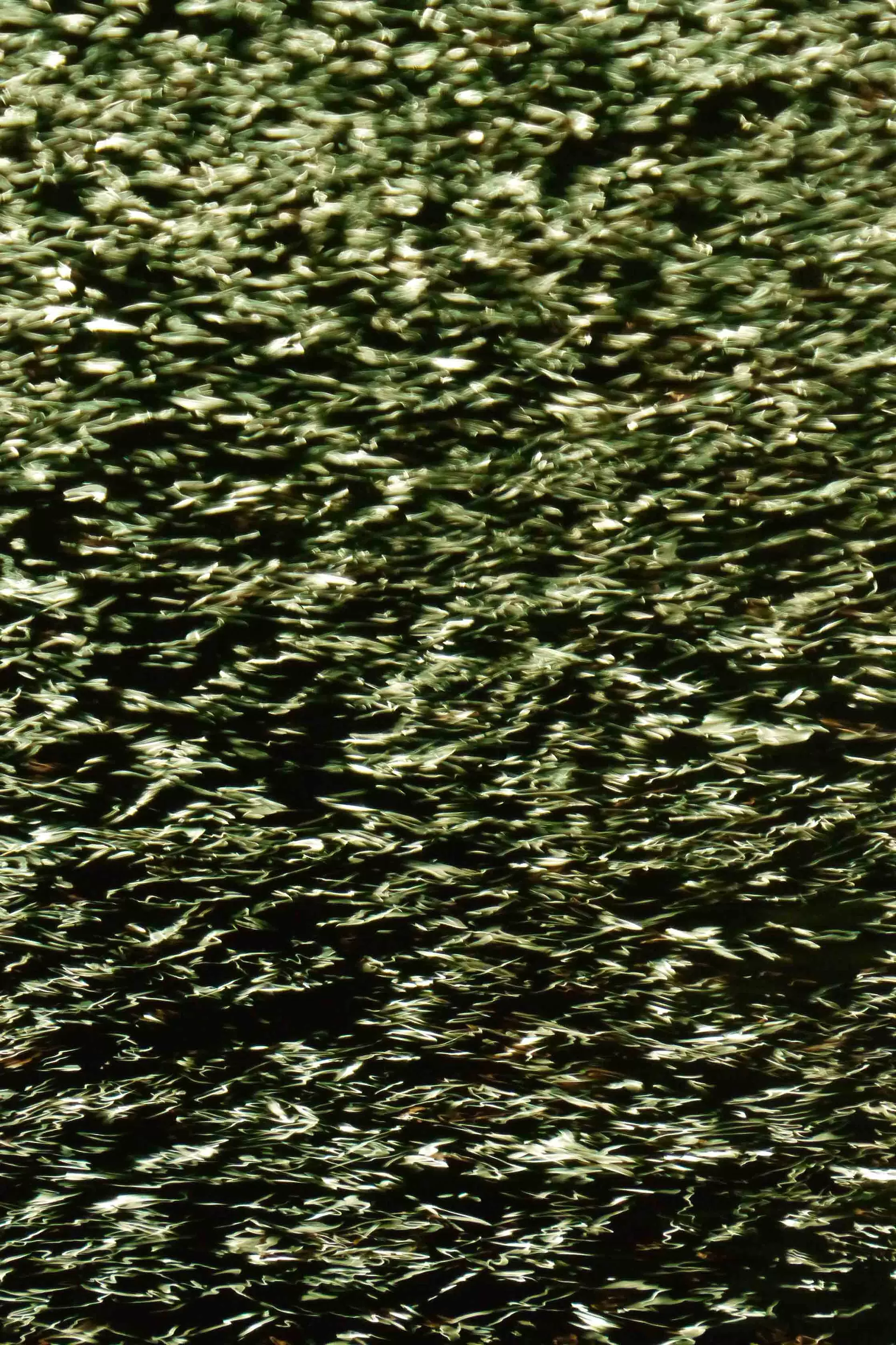 Surfaces_16