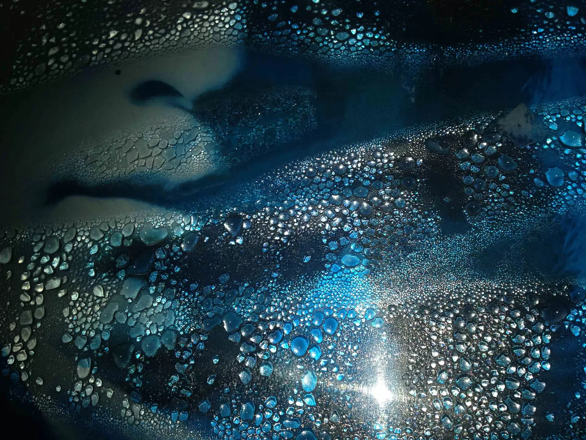 Surfaces_19