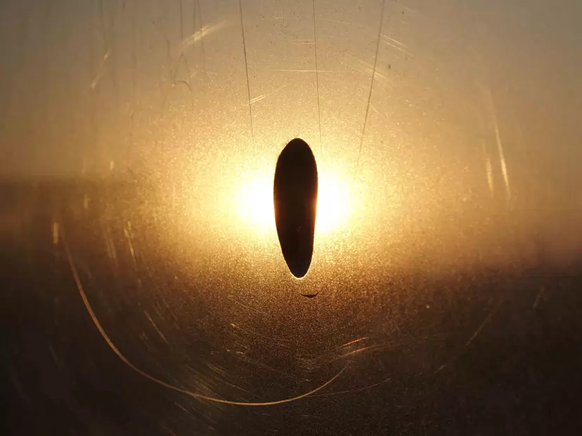 Surfaces_25 by 大塚 和也の購入 | 現代アートの販売・通販 | ArtSticker