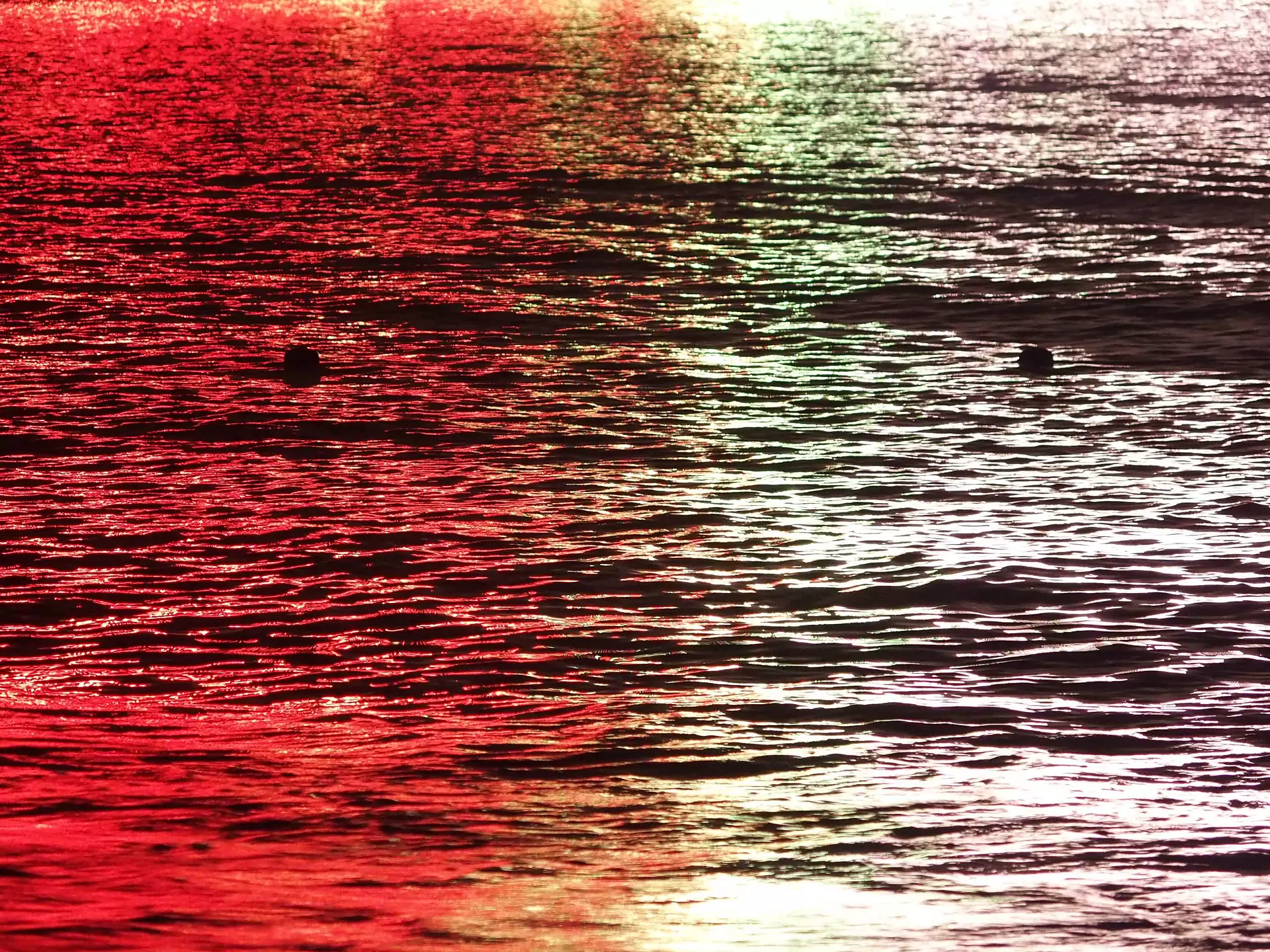 Surfaces_28