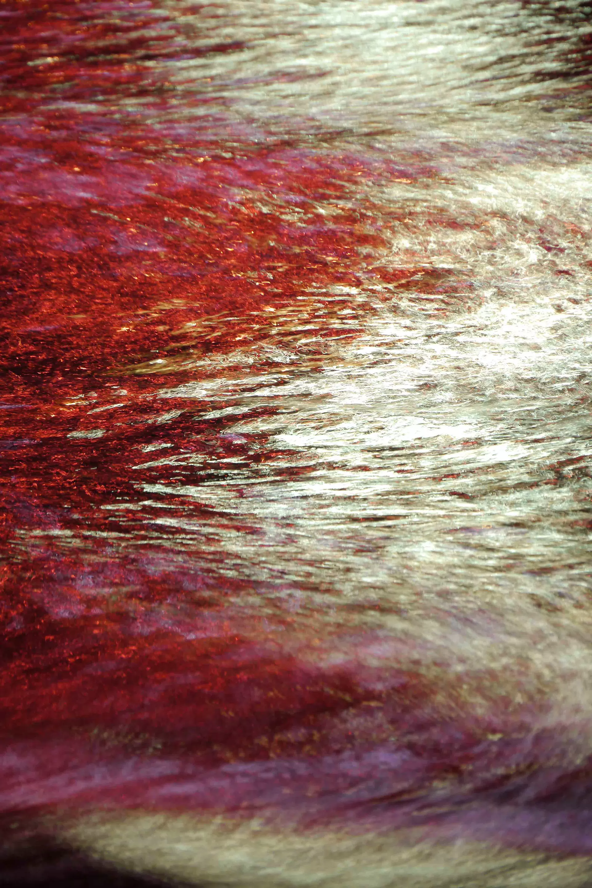 Surfaces_36