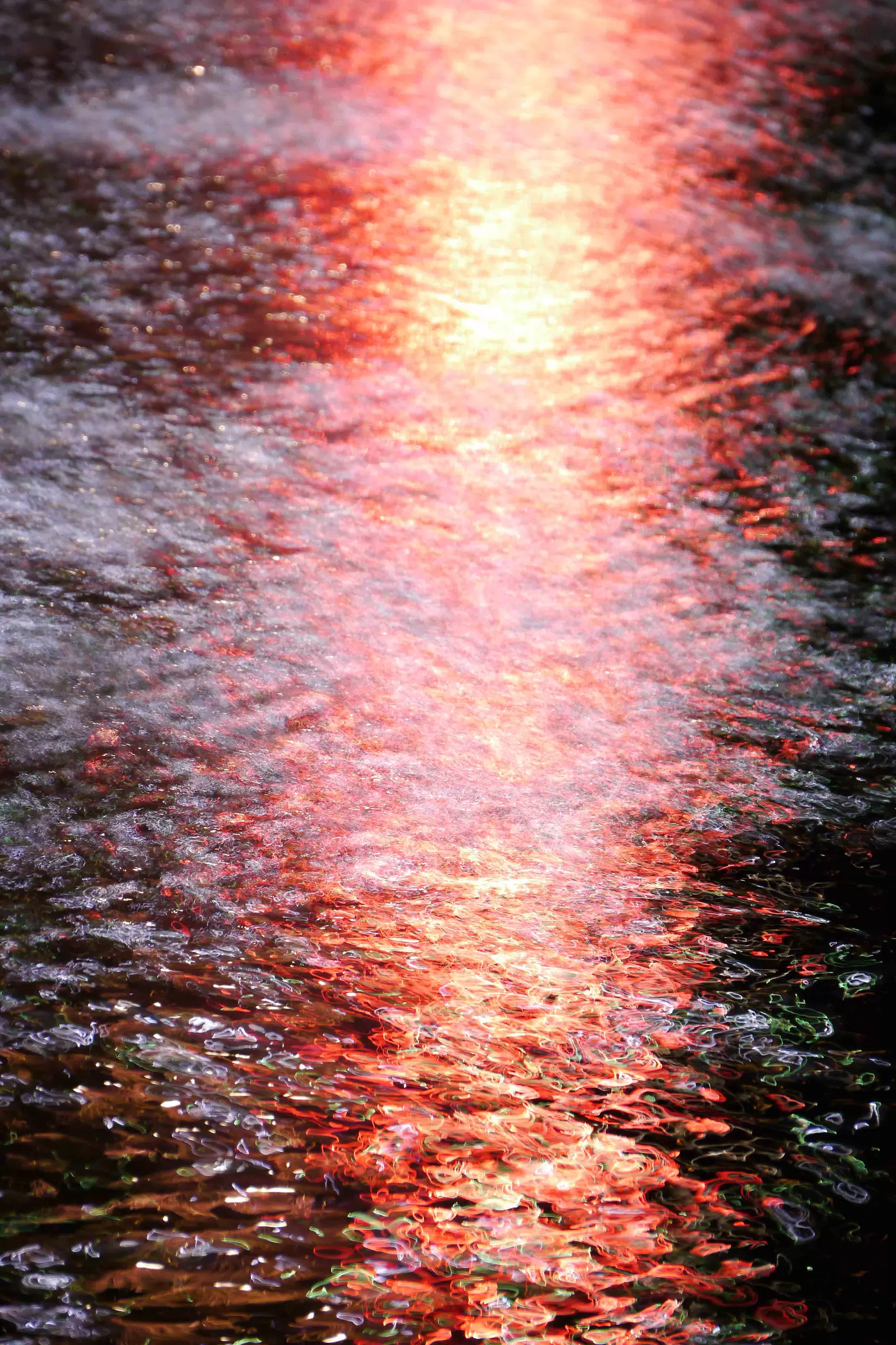 Surfaces_39