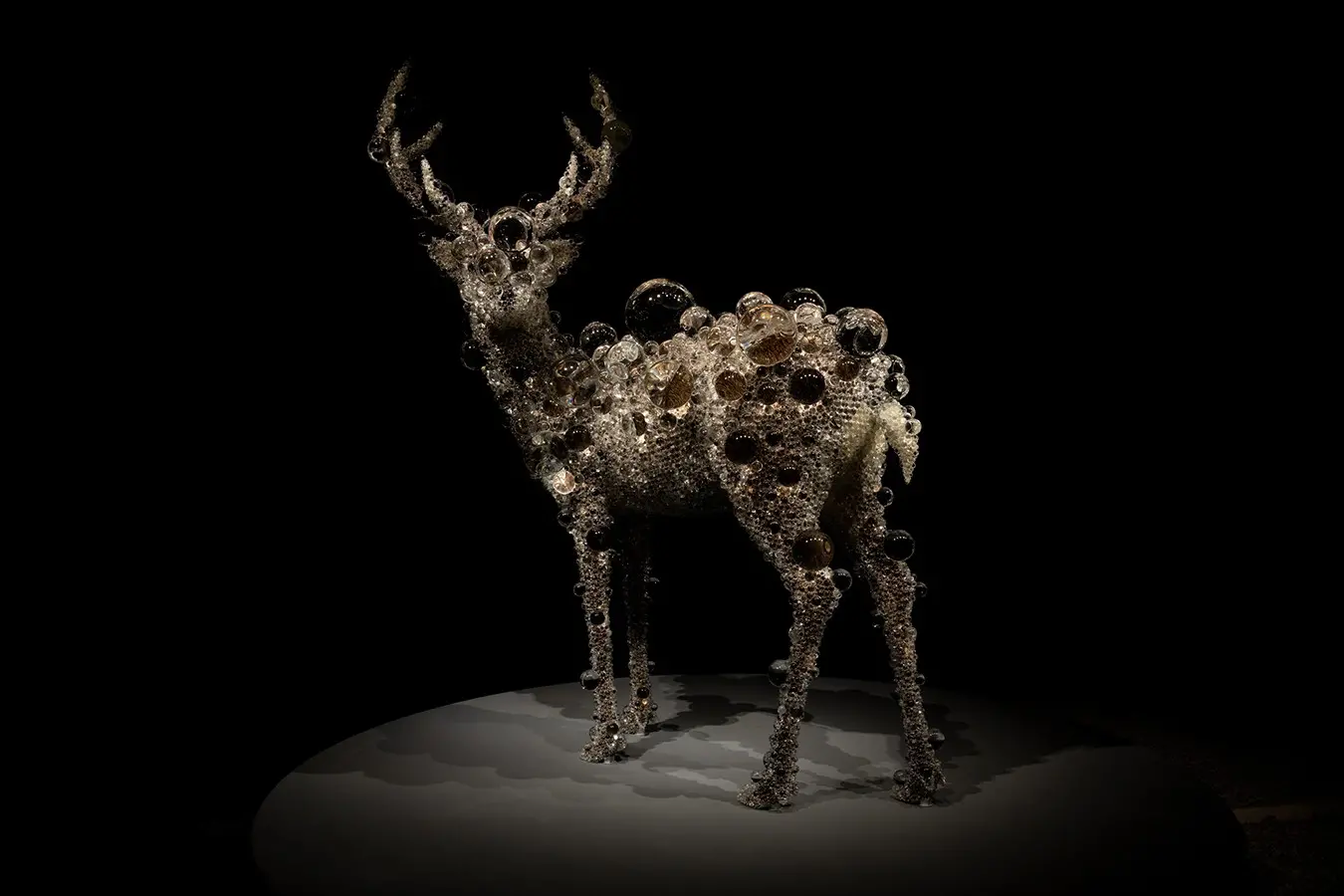 PixCell-Deer#60