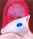 白い動物