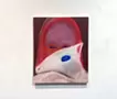 白い動物