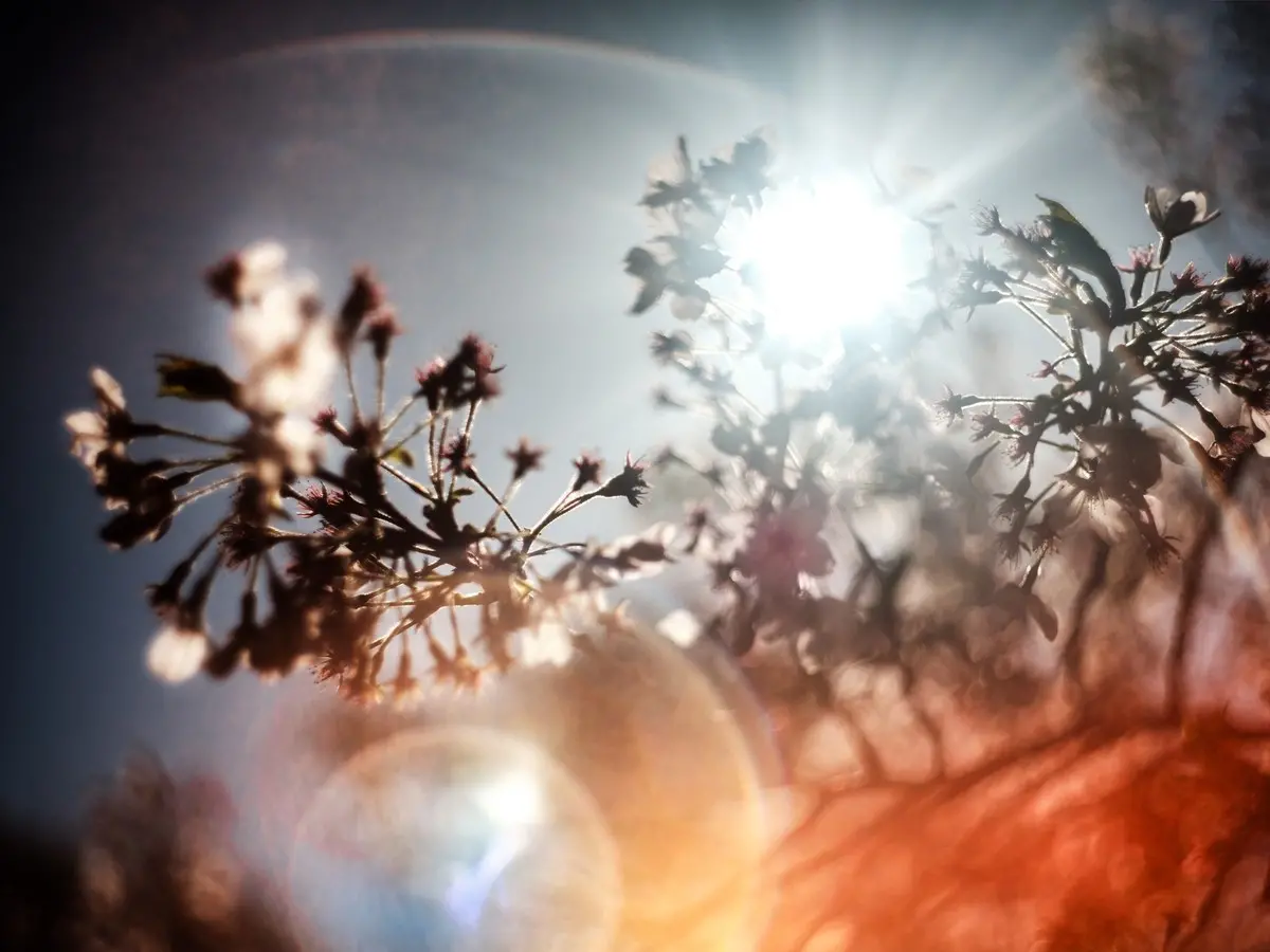 武田陽介 写真 現代アートプリント 072353 Yosuke Takeda 美術品