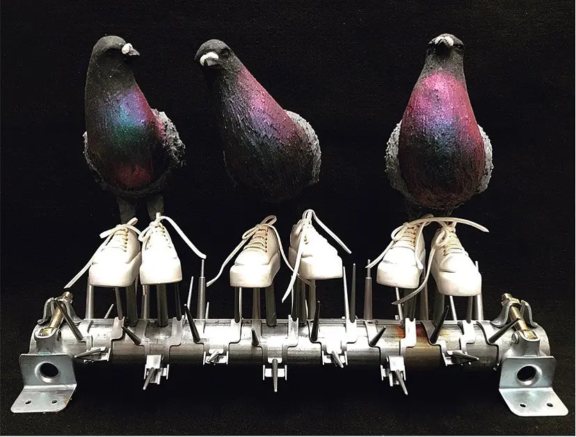 Pigeon on the deterrent spike by 田村 琢郎