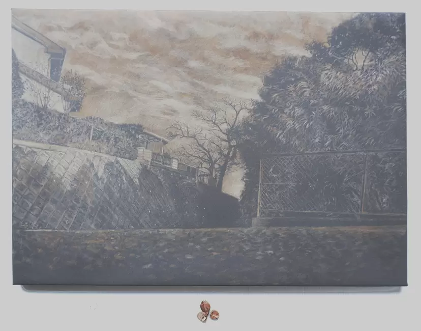 椿の種がらが見ていた風景 by 藤原史江