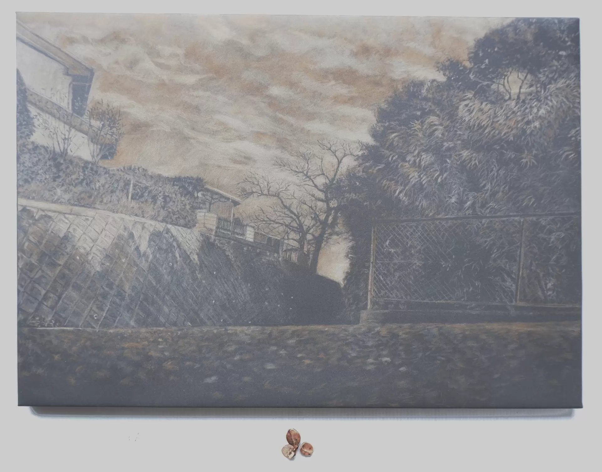椿の種がらが見ていた風景