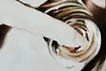 レーテー