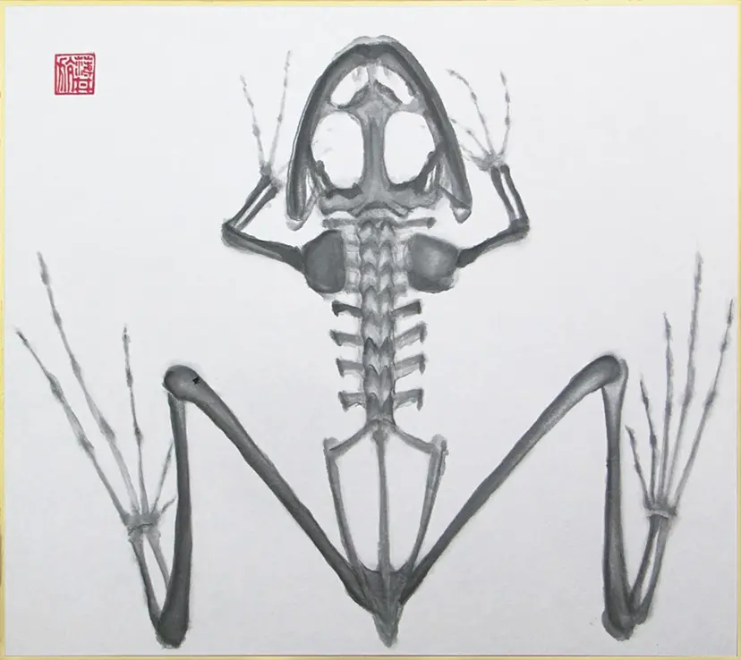 原画　骸骨　送料込み　カラベラ　SM　動物画　絵画　アクリル　現代アート　細密画 原画 骸骨 カラベラ SM 動物画 絵画 アクリル画 現代アート 細密
