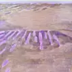 穴