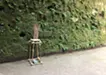 飾音