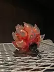 果実"Dark Red"