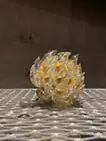 果実”ECHO ”