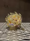 果実”ECHO ”