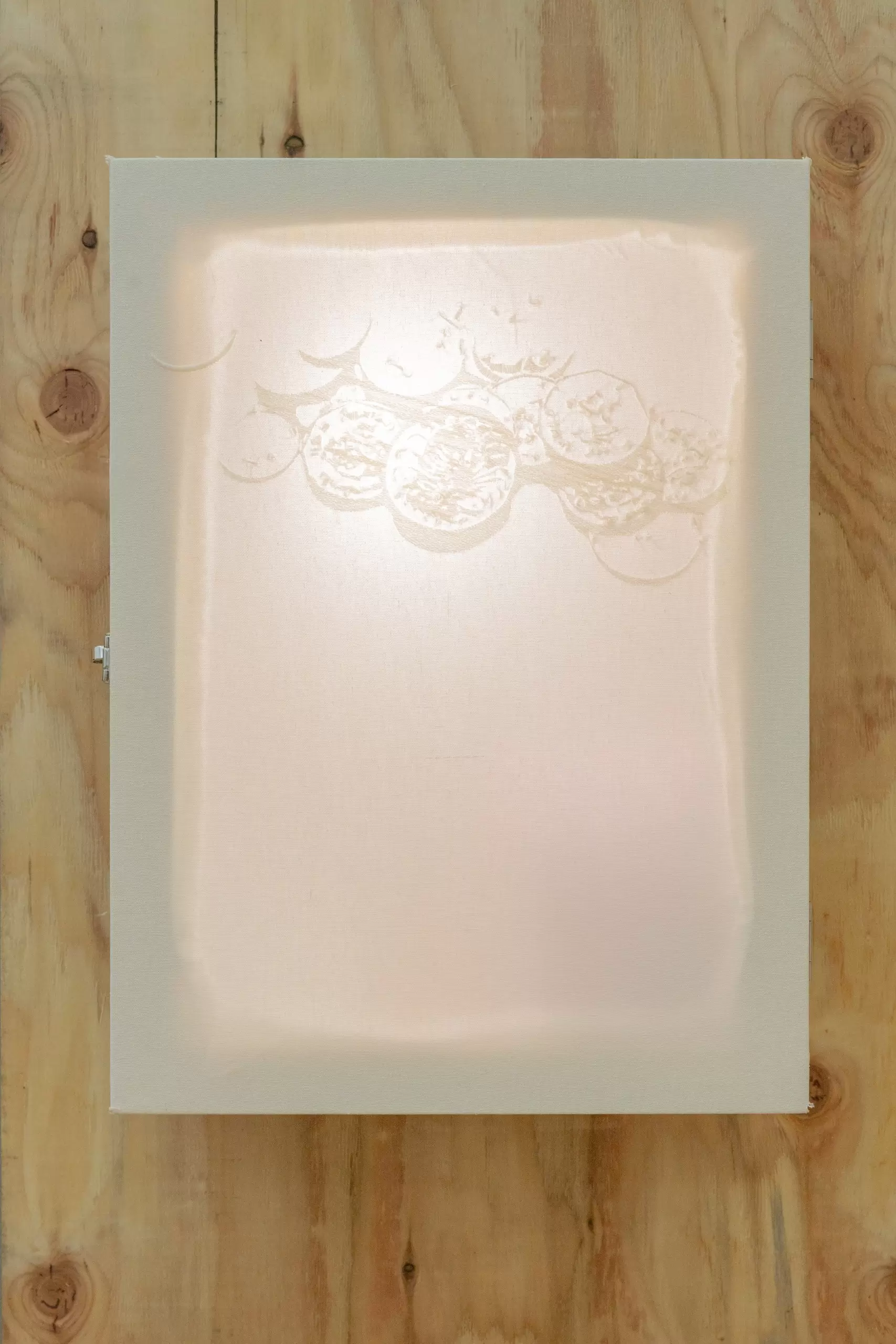 《12 white inventories》(5/12)