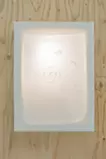 《12 white inventories》(11/12)