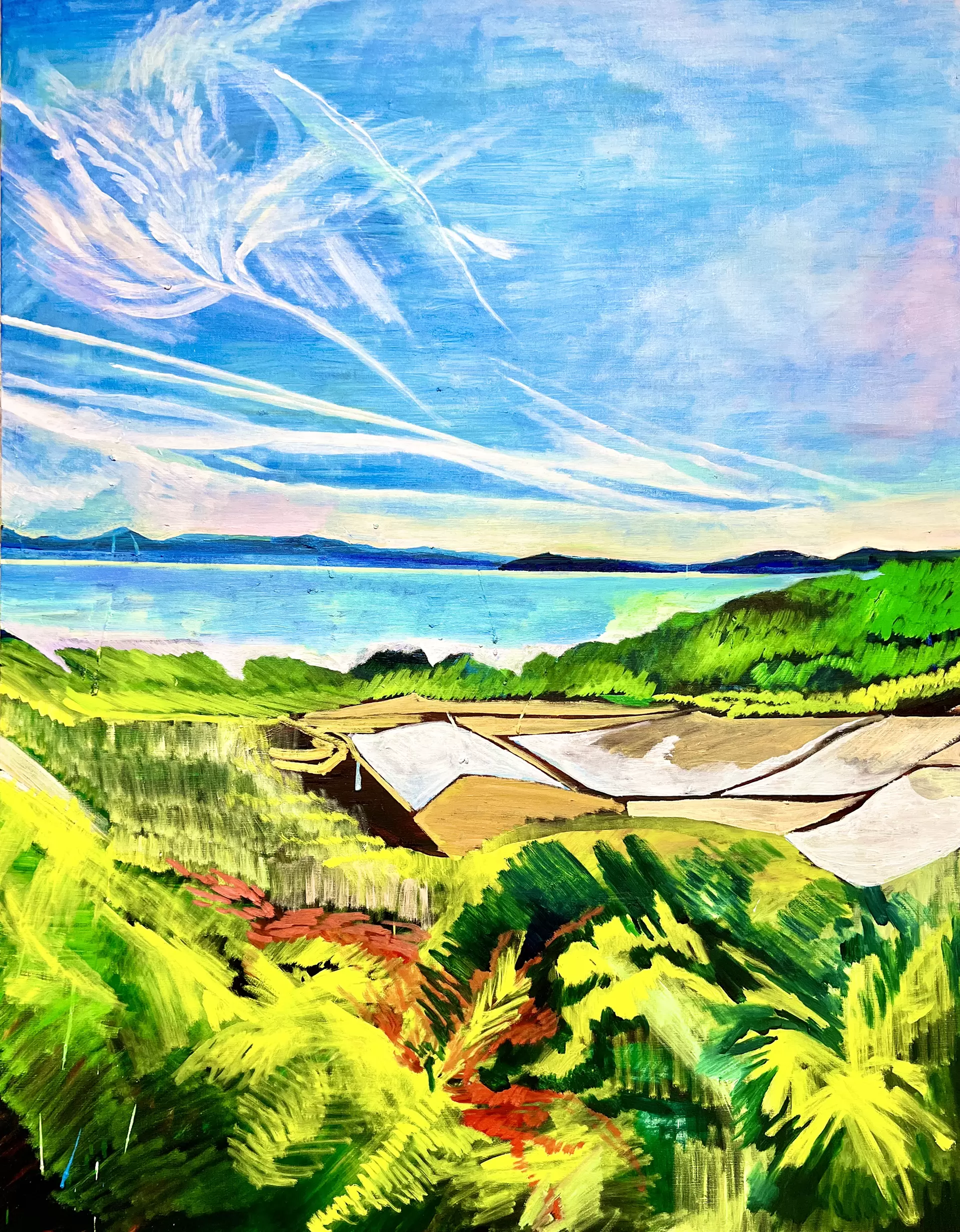 田んぼがみえる風景と空と海（豊島）