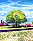 昭和記念公園の木