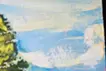 昭和記念公園の木