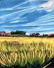 稲穂と空(国立市)