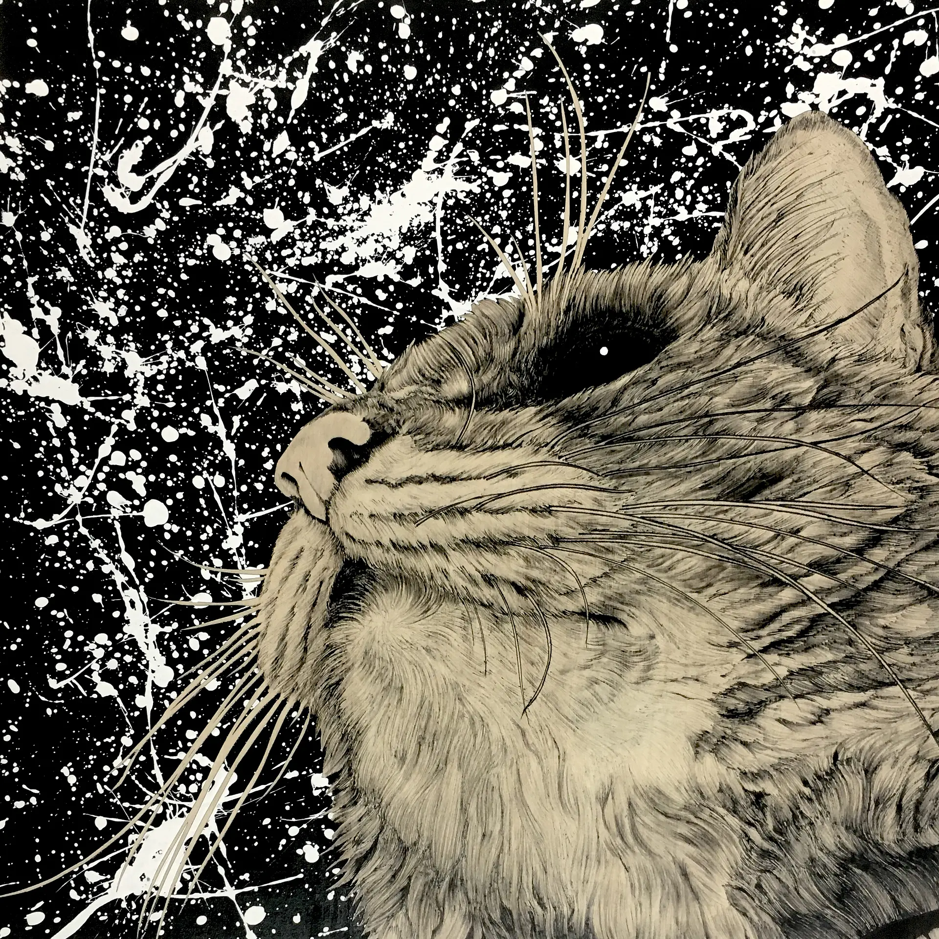 SPARKY