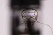 AI MuraI