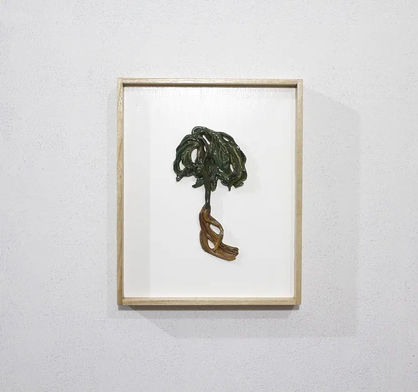 黄金町の野草（拾われた草）