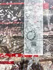 武蔵坊弁慶#1
