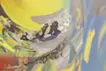 旋風 −タカ− / Whirlwind −Hawk−