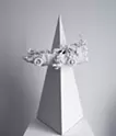 大块 #2501