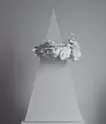 大块 #2501